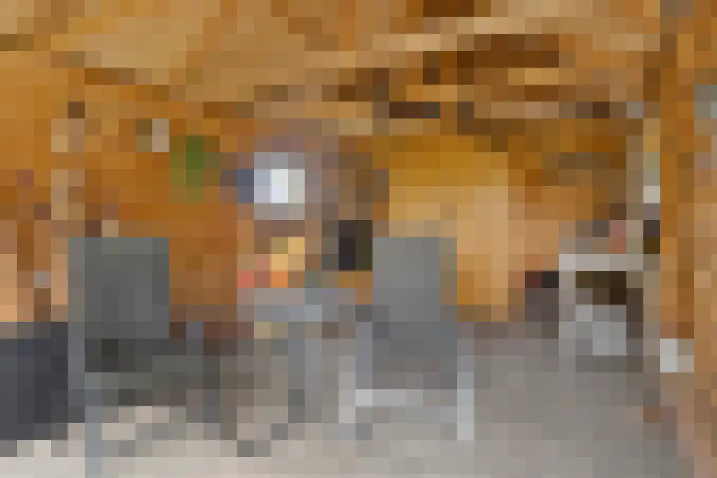 Deventerstraat 107 Vaassen thumbnail 34