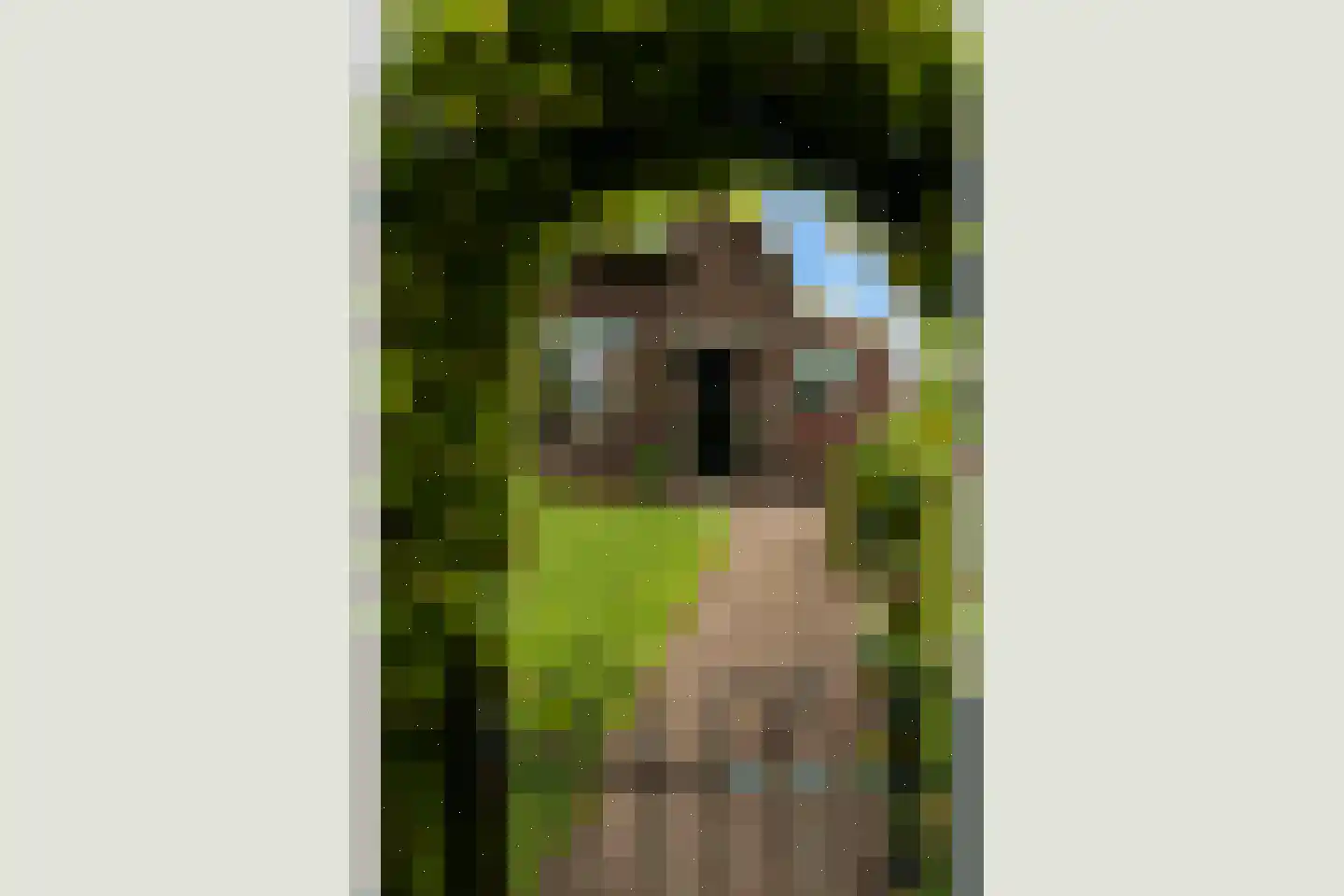 Deventerstraat 107 Vaassen thumbnail 4