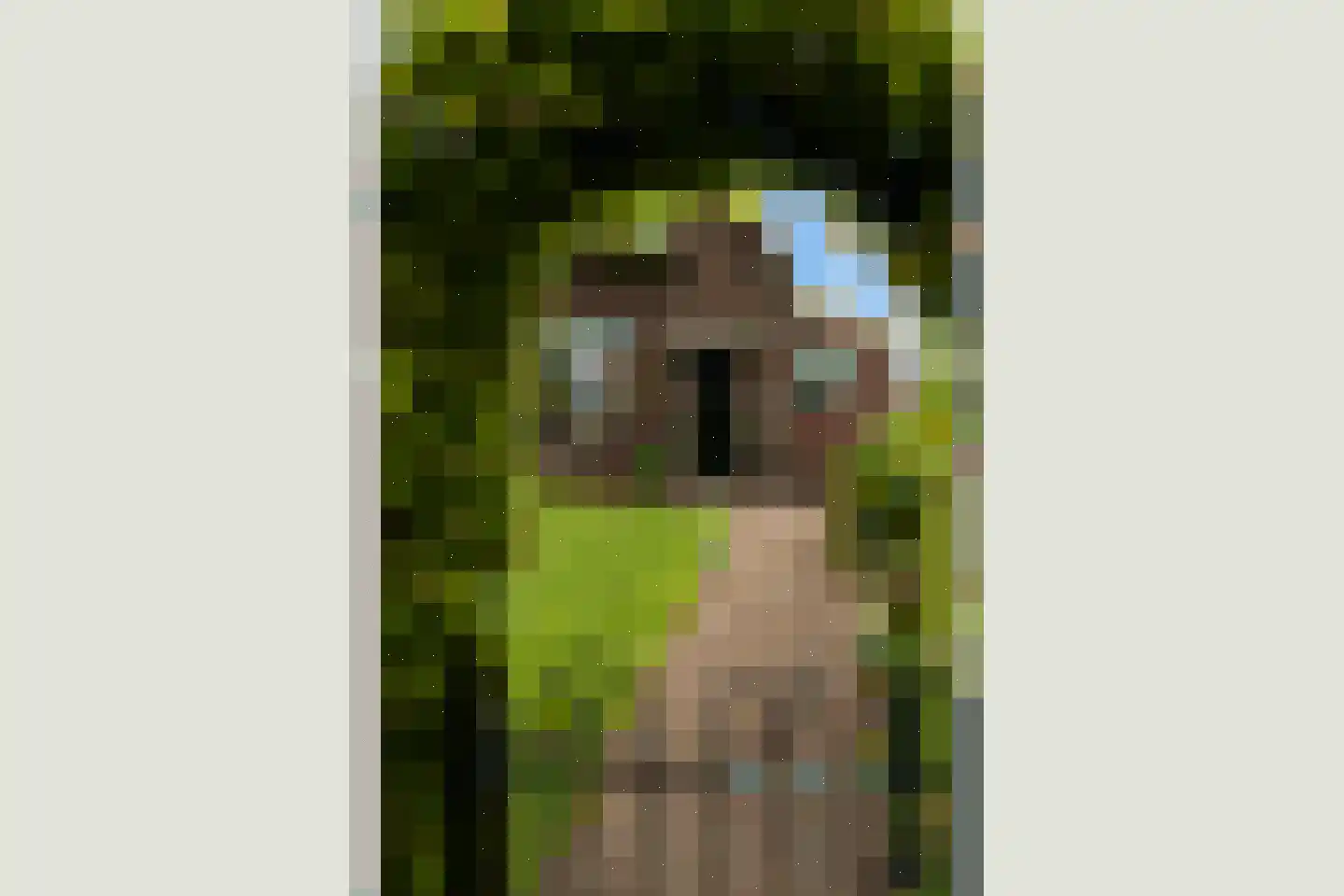 Deventerstraat 107 Vaassen thumbnail 4
