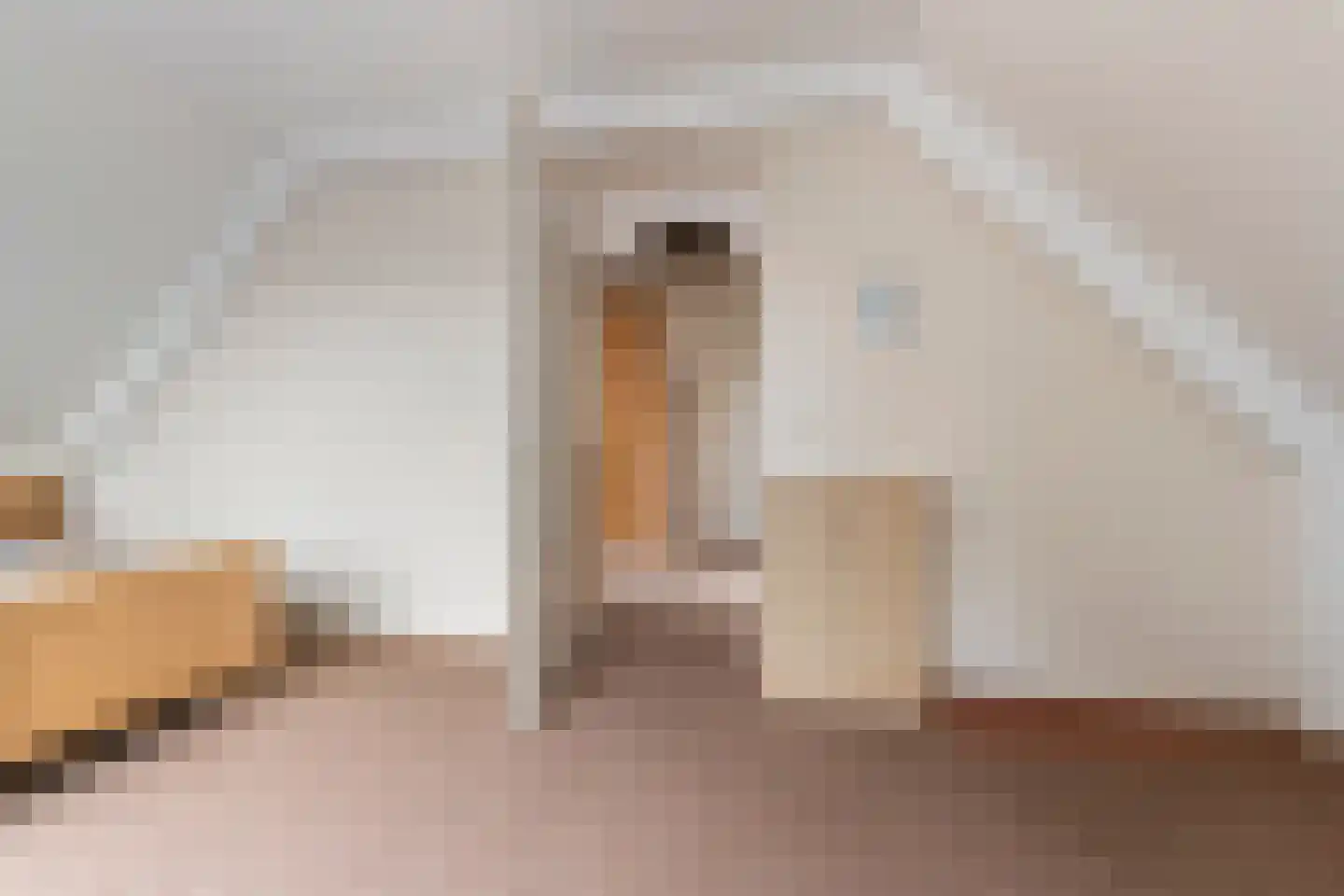Deventerstraat 130 Vaassen thumbnail 26