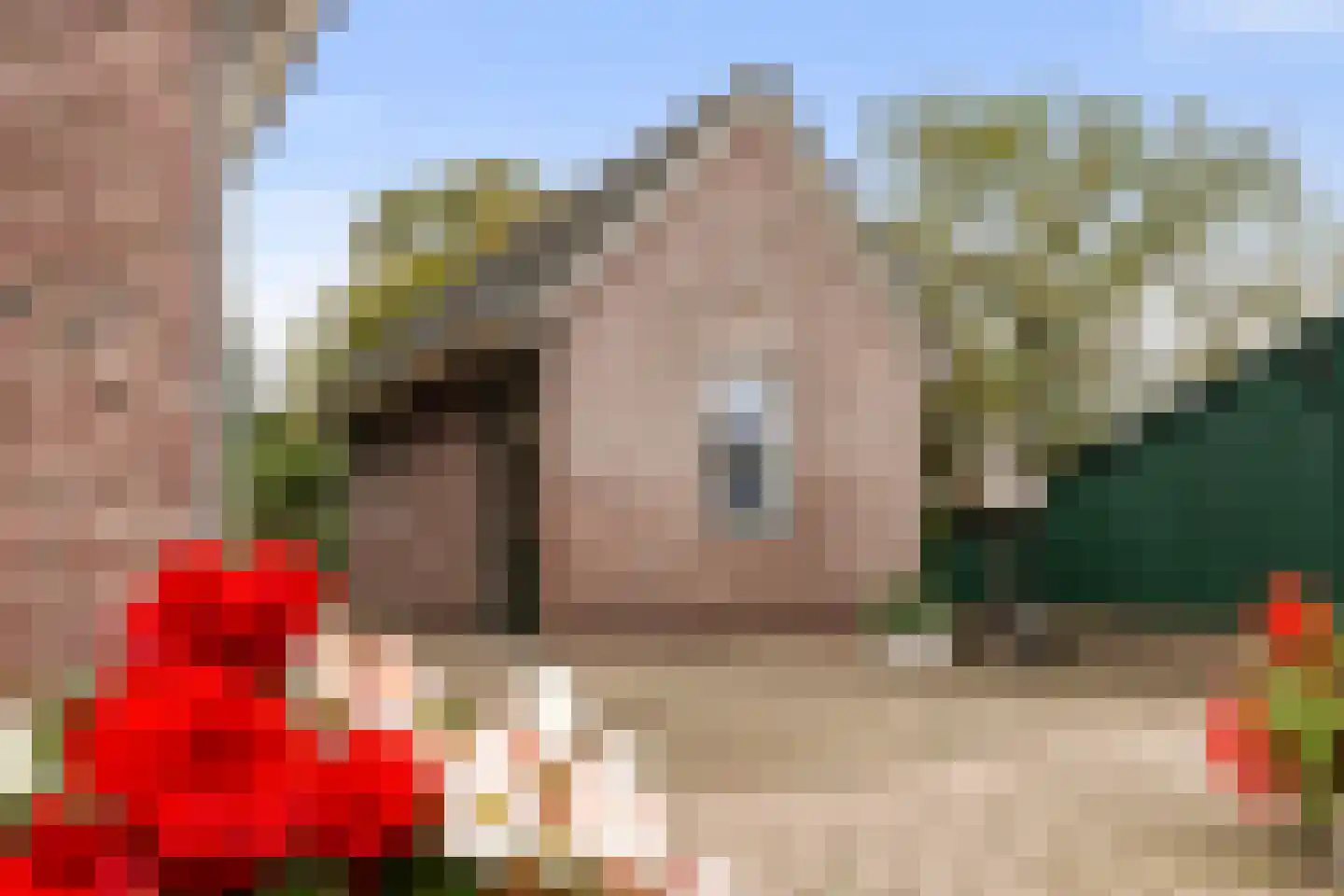 Deventerstraat 130 Vaassen thumbnail 34