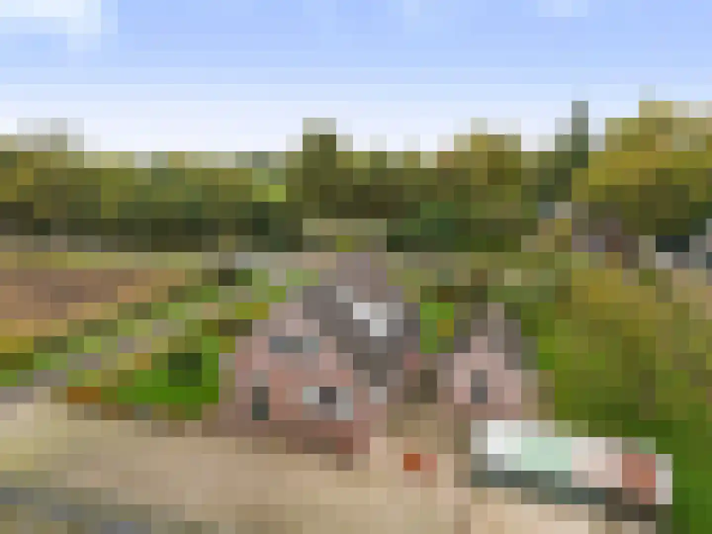 Deventerstraat 130 Vaassen thumbnail 52
