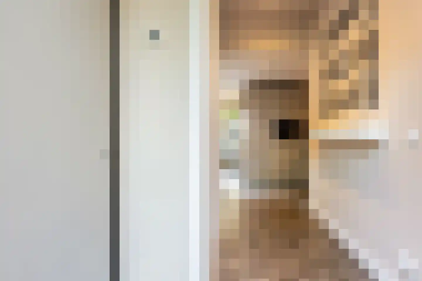Deventerstraat 166 Apeldoorn thumbnail 8