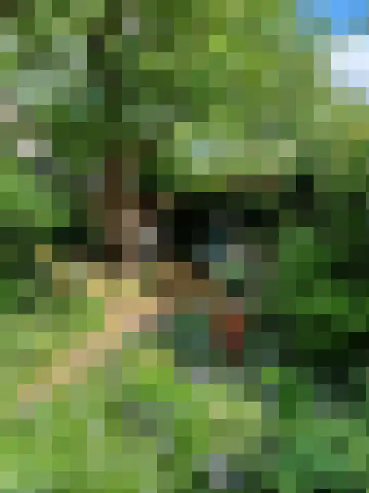 Deventerstraat 204 Apeldoorn thumbnail 33