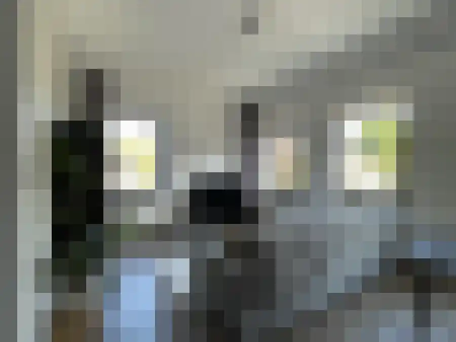 Deventerstraat 21 Apeldoorn thumbnail 6