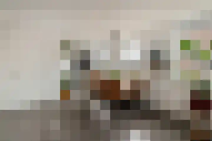 Deventerstraat 21 Raalte thumbnail 13