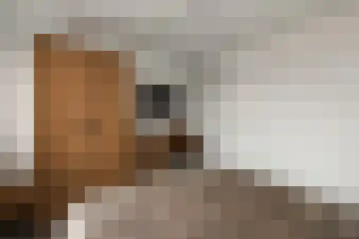 Deventerstraat 21 Raalte thumbnail 16