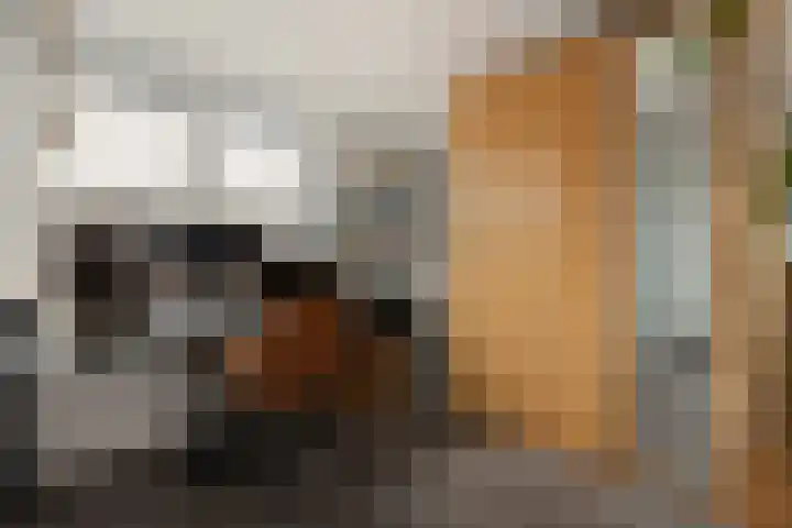 Deventerstraat 21 Raalte thumbnail 17