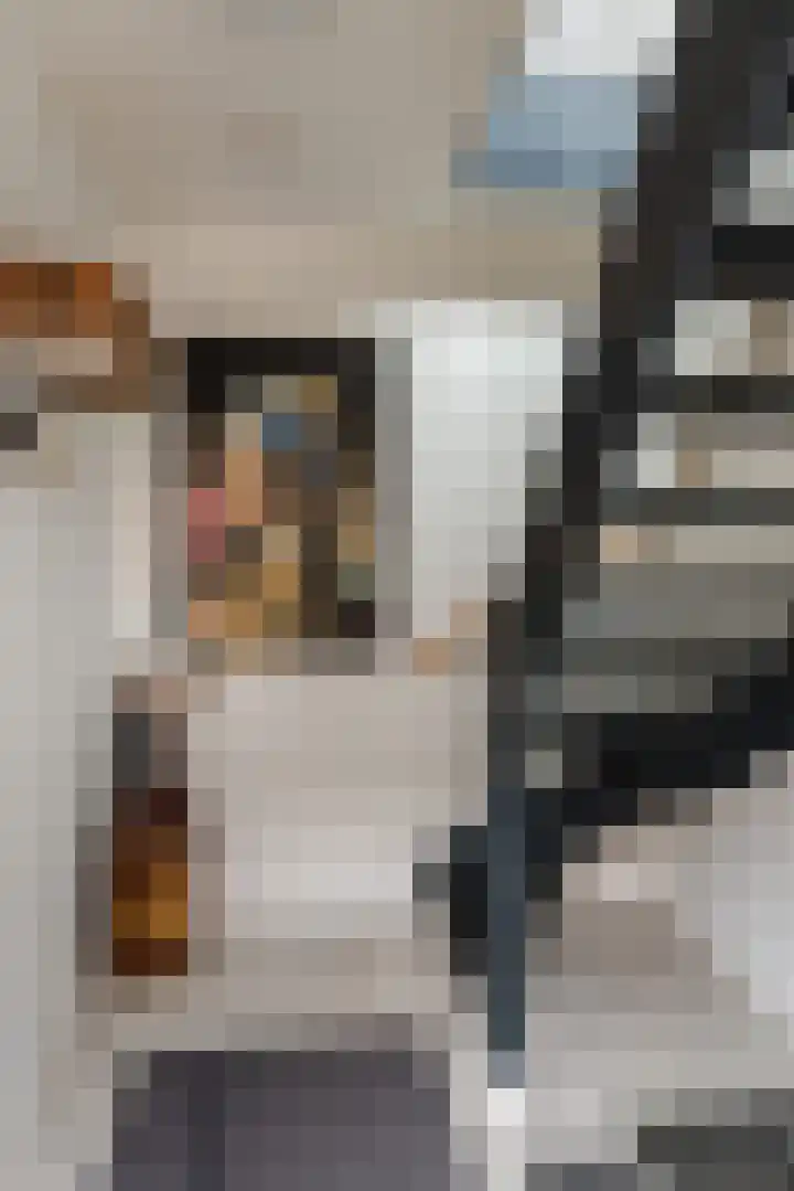 Deventerstraat 21 Raalte thumbnail 5