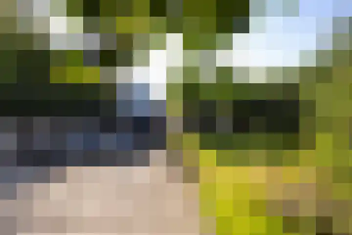 Deventerstraat 213 Apeldoorn thumbnail 28