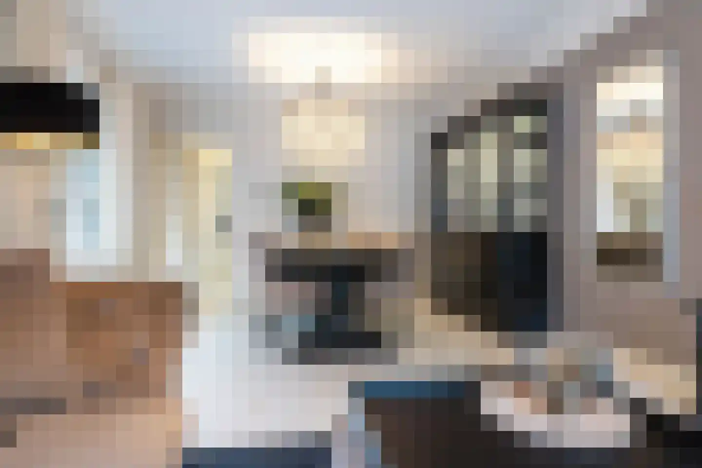 Deventerstraat 222 Apeldoorn thumbnail 11