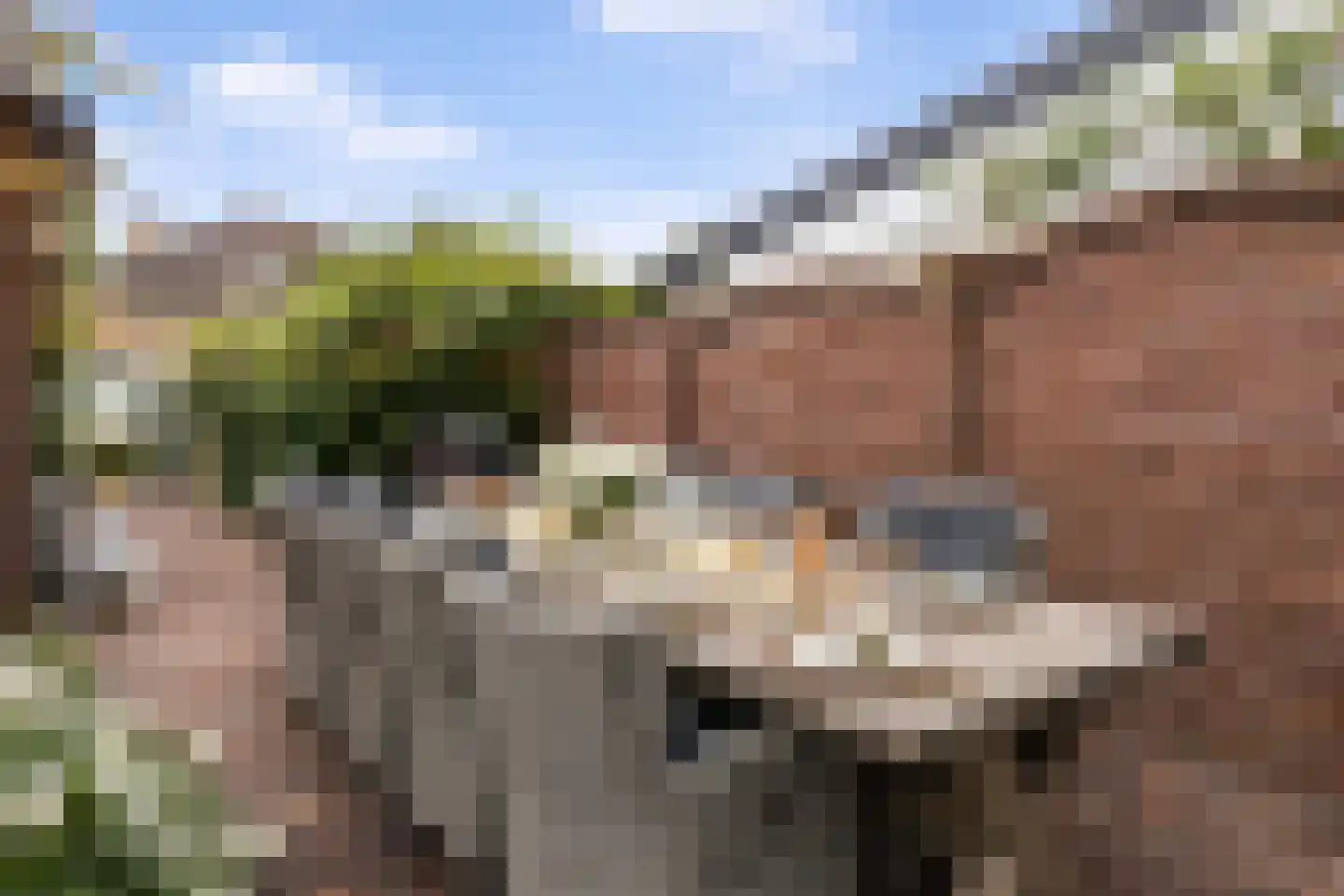 Deventerstraat 222 Apeldoorn thumbnail 12