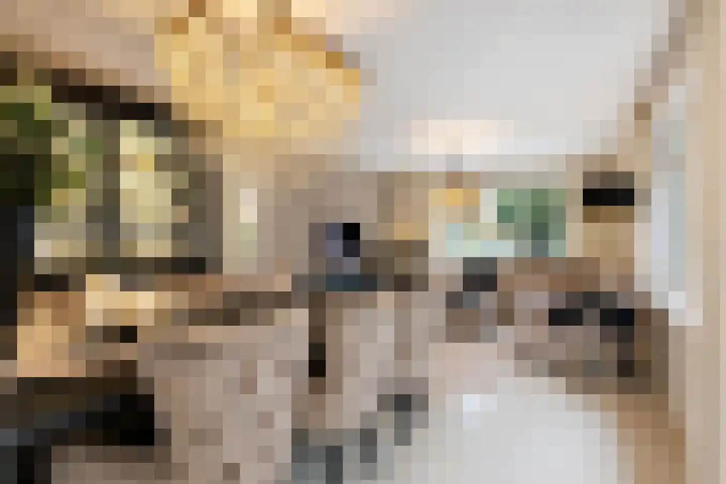Deventerstraat 222 Apeldoorn thumbnail 4