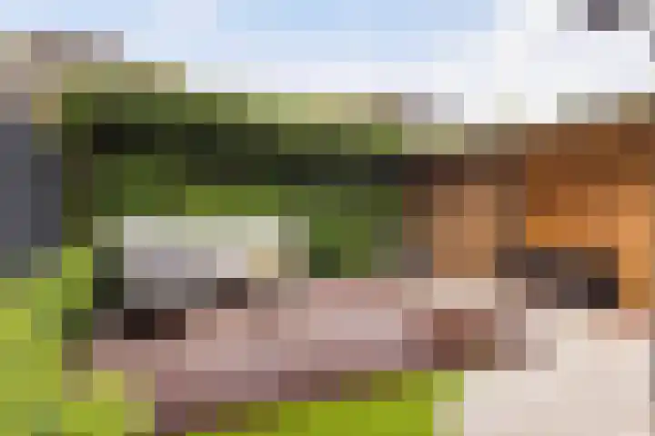 Deventerstraat 224 Apeldoorn thumbnail 34