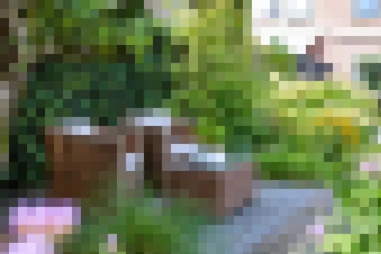 Deventerstraat 268 B Apeldoorn thumbnail 37