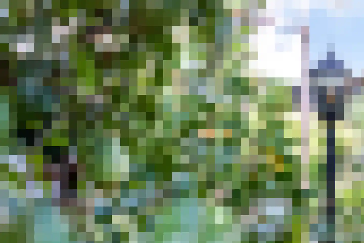 Deventerstraat 268 B Apeldoorn thumbnail 39
