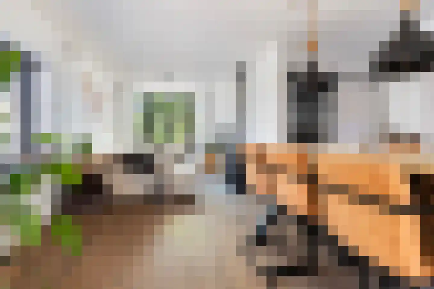 Deventerstraat 270 Apeldoorn thumbnail 14