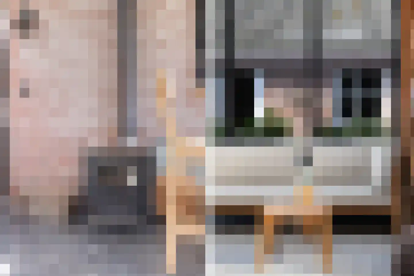 Deventerstraat 270 Apeldoorn thumbnail 23