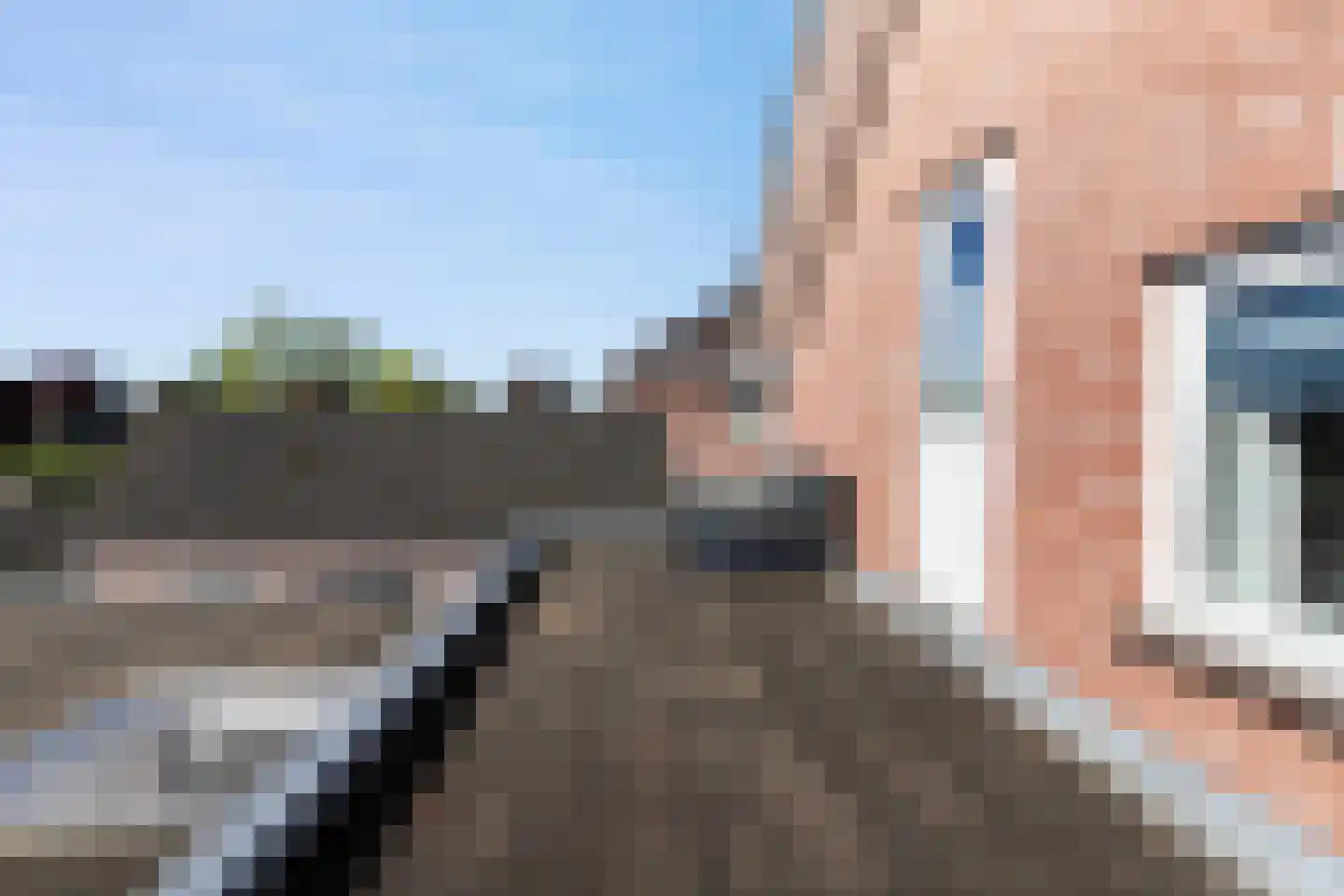 Deventerstraat 270 Apeldoorn thumbnail 42