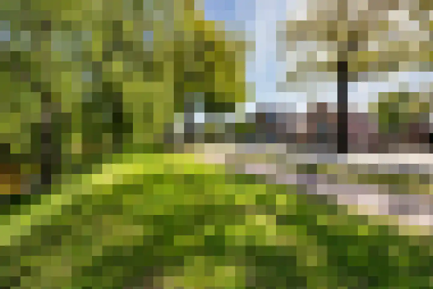 Deventerstraat 270 Apeldoorn thumbnail 67