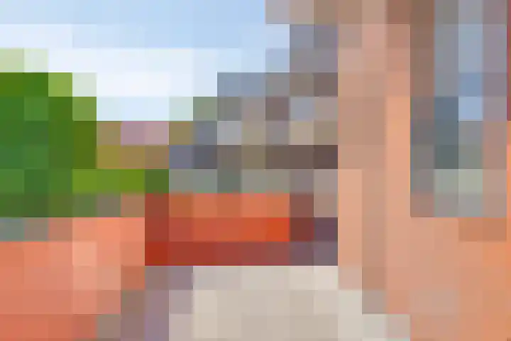 Deventerstraat 40 G Vaassen thumbnail 31