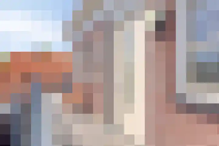 Deventerstraat 40 G Vaassen thumbnail 6
