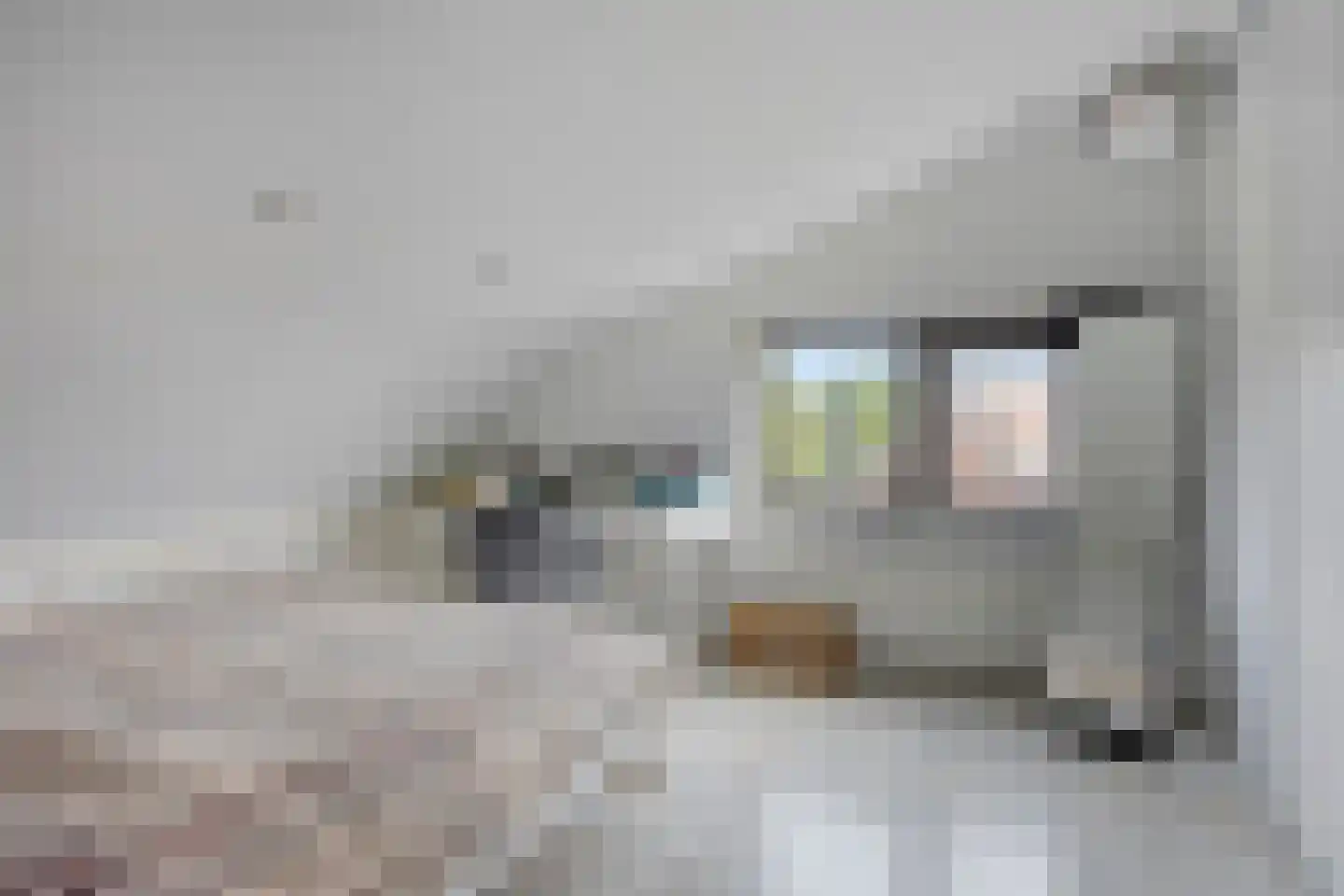 Deventerstraat 400 B Apeldoorn thumbnail 21