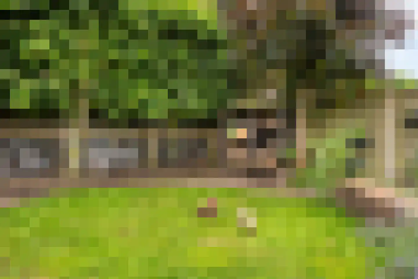 Deventerstraat 400 B Apeldoorn thumbnail 31