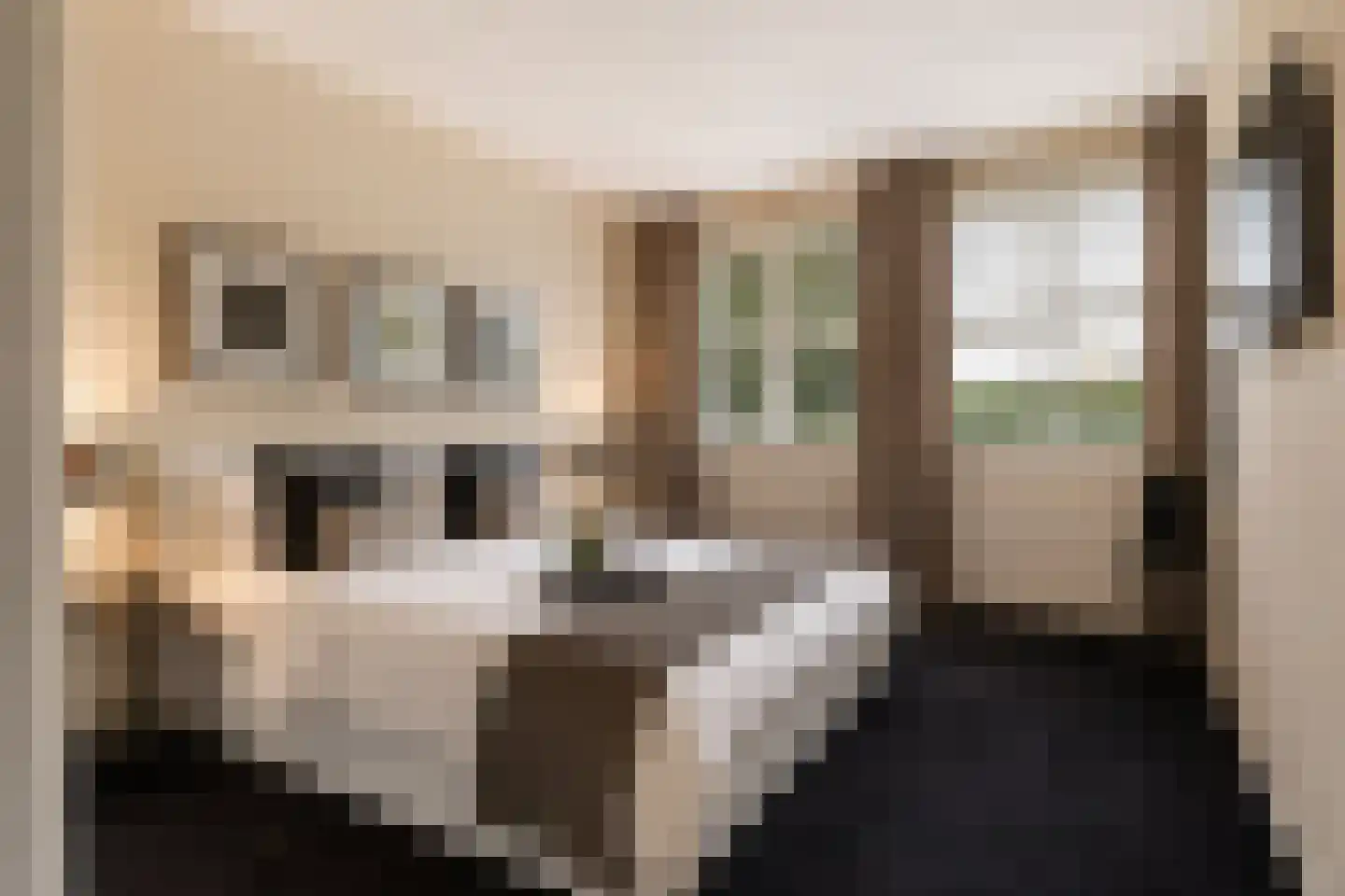 Deventerstraat 492 Apeldoorn thumbnail 16