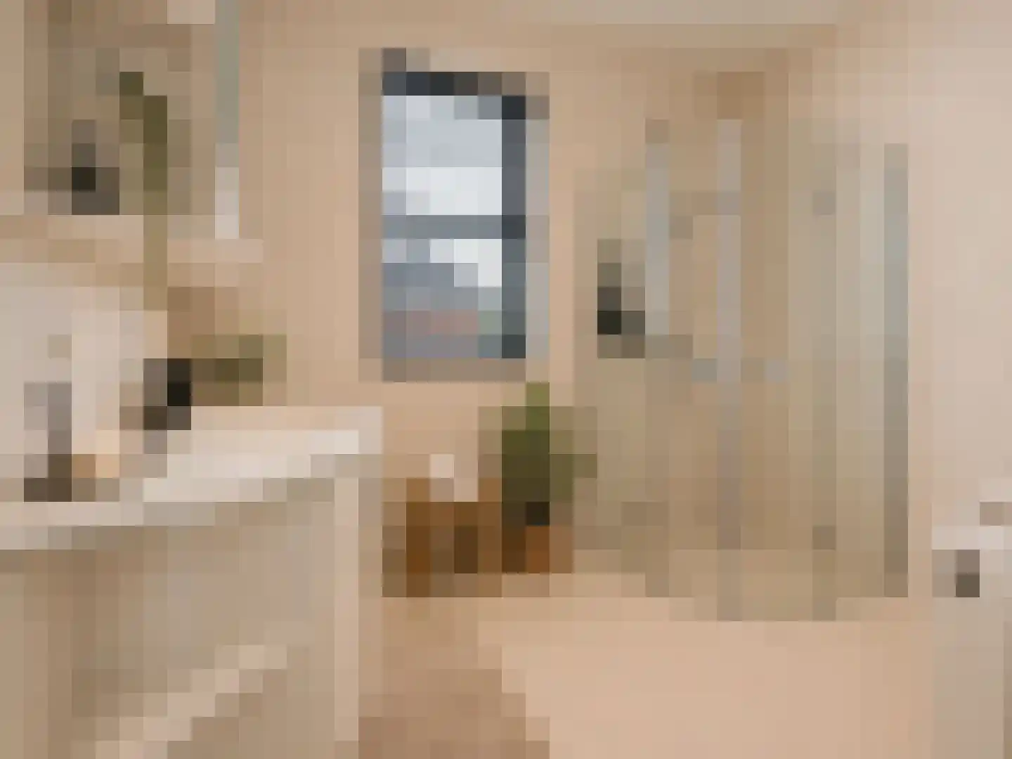 Deventerstraat 492 Apeldoorn thumbnail 20