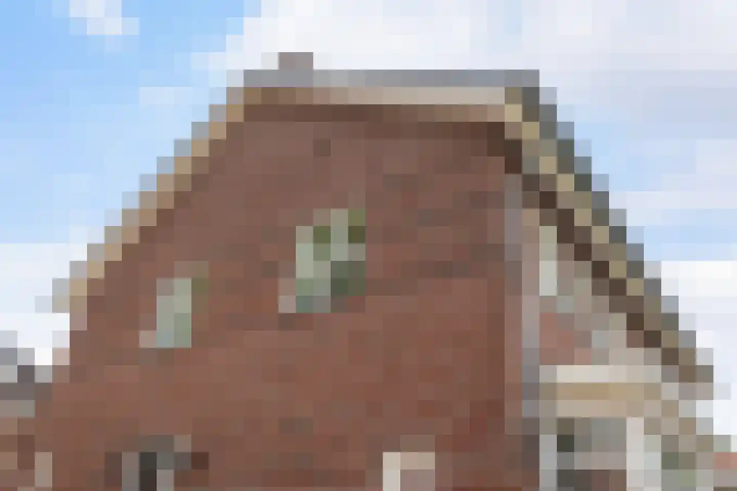 Deventerstraat 492 Apeldoorn thumbnail 6