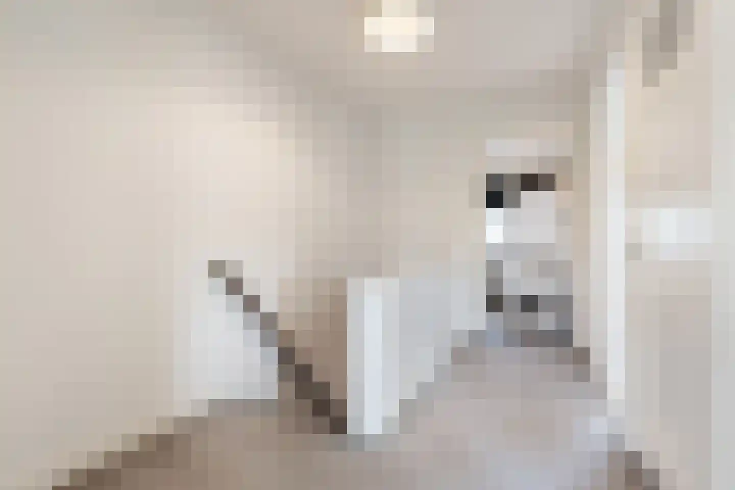 Deventerstraat 51 Apeldoorn thumbnail 28