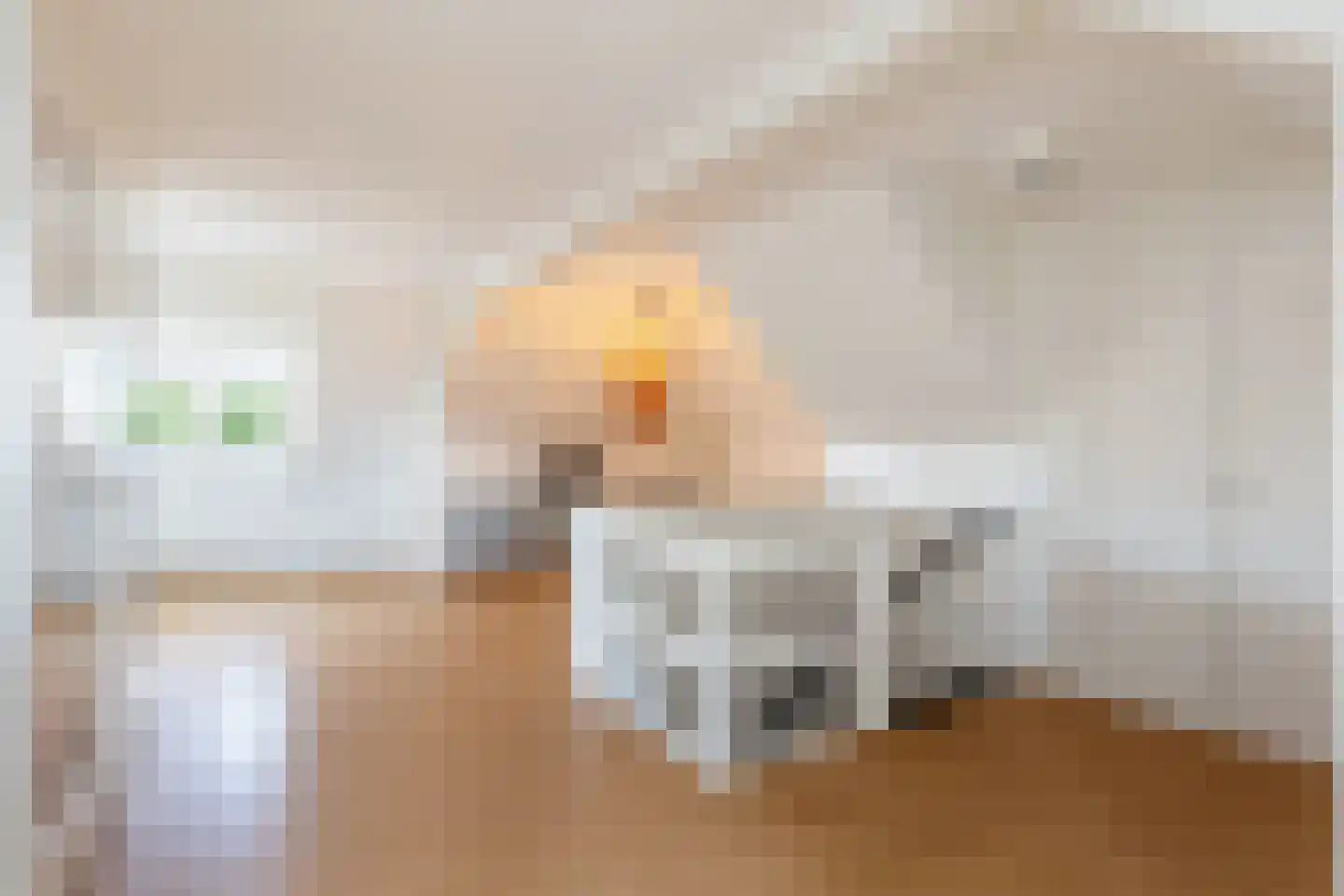 Deventerstraat 51 Apeldoorn thumbnail 39