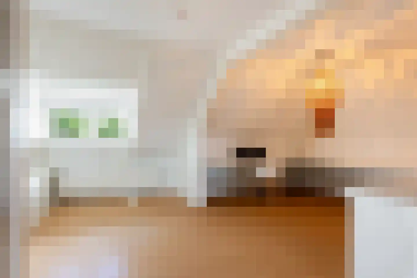 Deventerstraat 51 Apeldoorn thumbnail 40