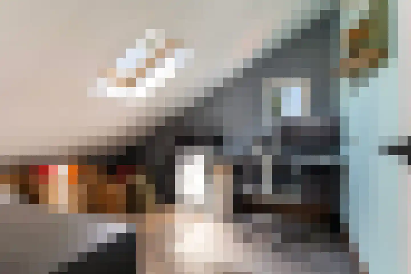 Deventerstraat 51 B Apeldoorn thumbnail 32