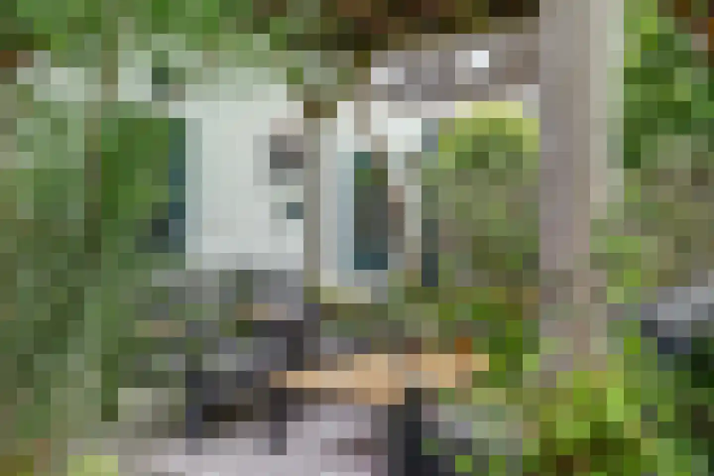Deventerstraat 536 Apeldoorn thumbnail 35