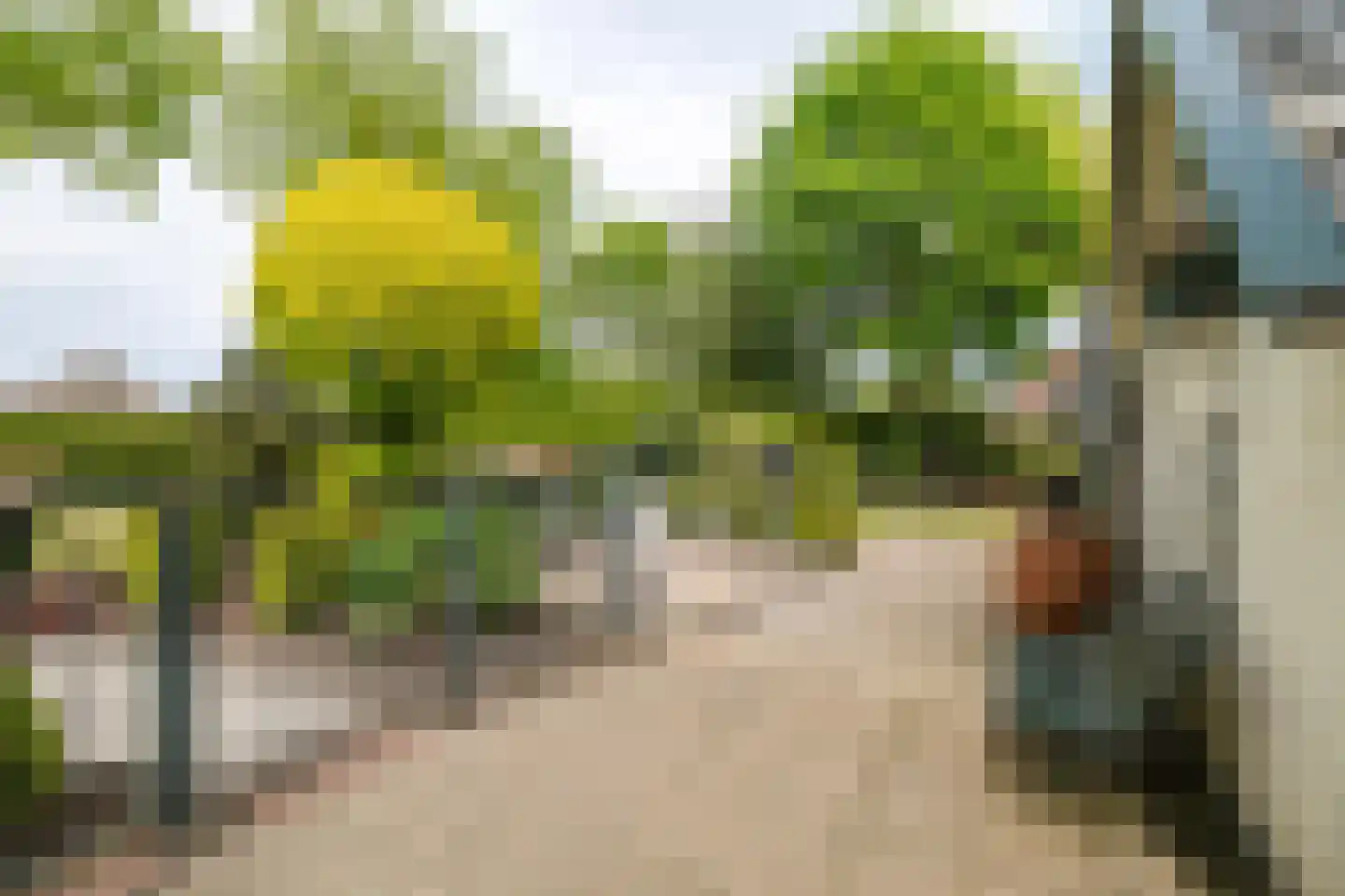 Deventerstraat 624 Apeldoorn thumbnail 28