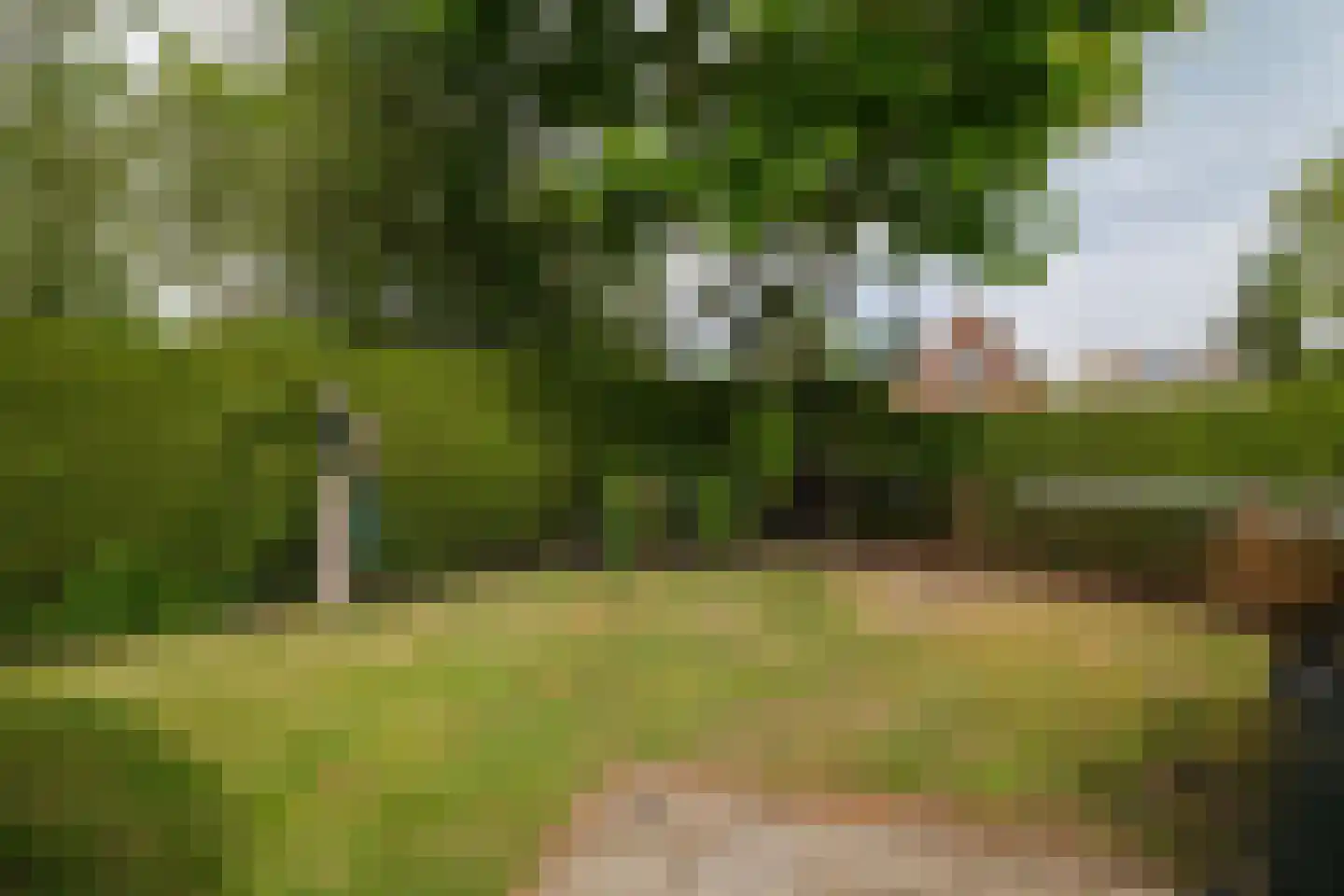 Deventerstraat 624 Apeldoorn thumbnail 33