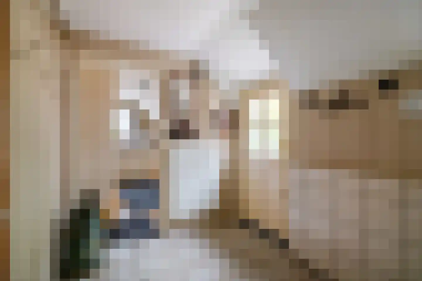 Deventerstraat 624 Apeldoorn thumbnail 4