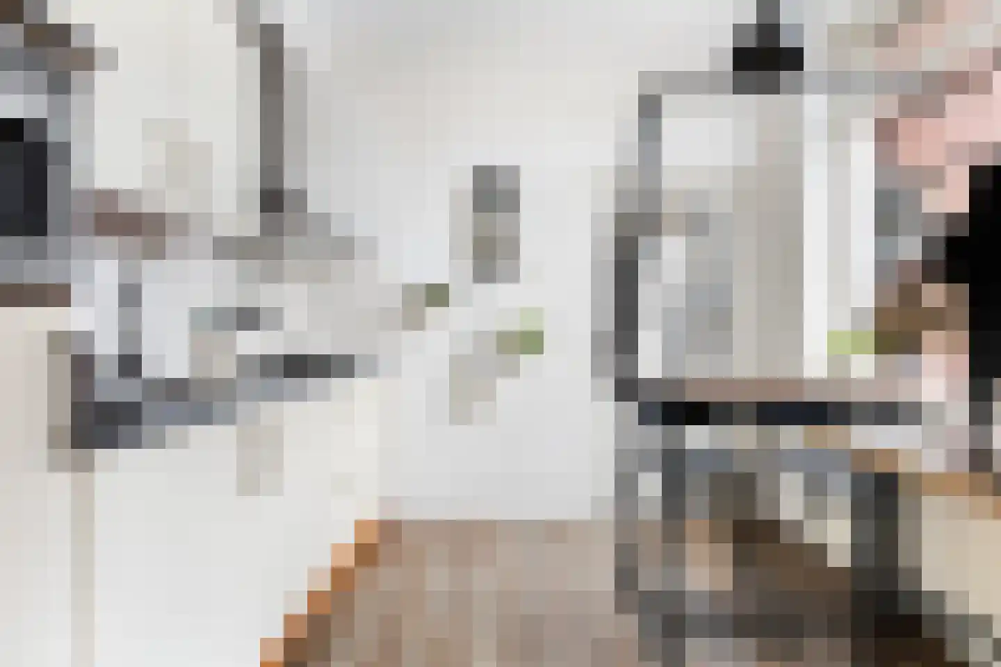 Deventerstraat 75 Vaassen thumbnail 12