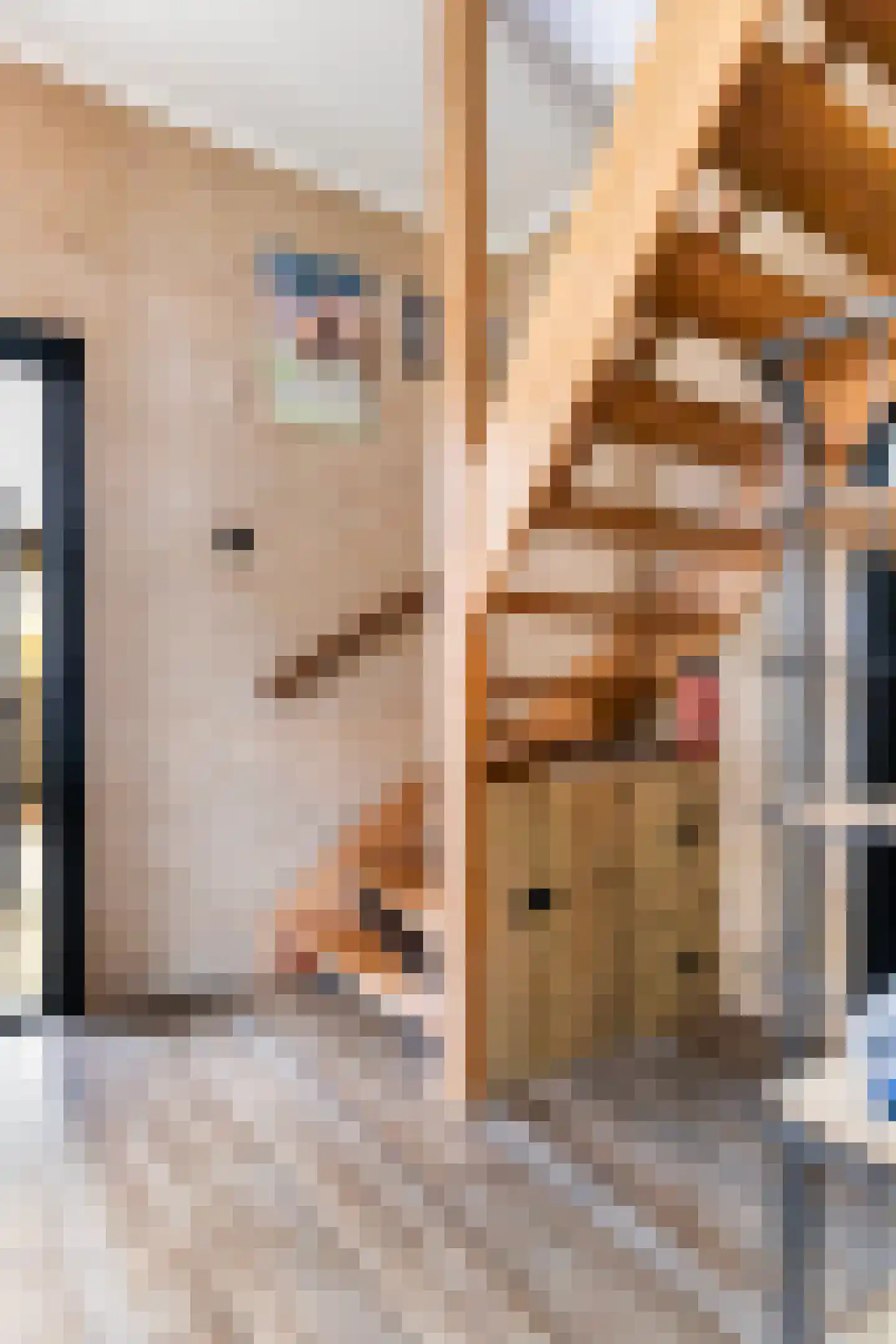 Deventerstraat 75 Vaassen thumbnail 15