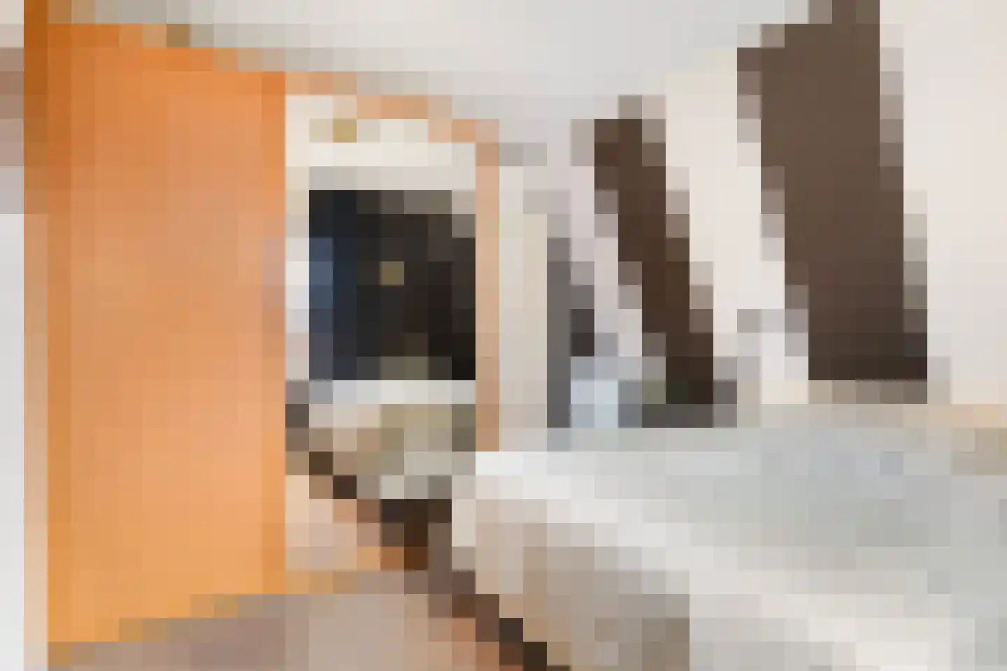 Deventerstraat 75 Vaassen thumbnail 29
