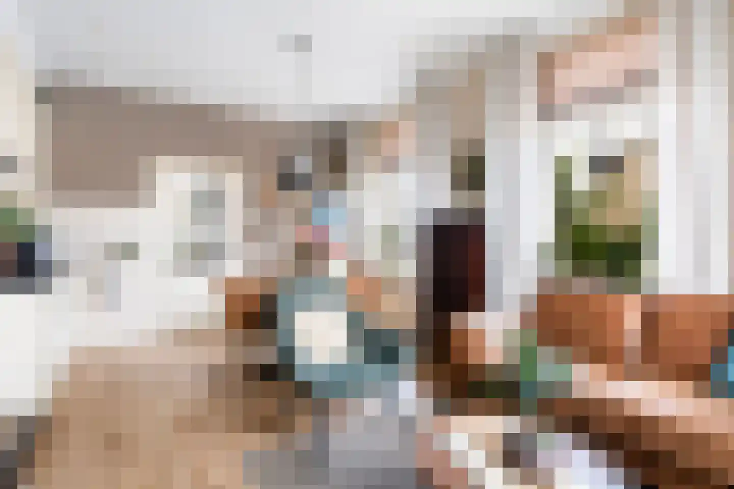 Deventerstraat 75 Vaassen thumbnail 35