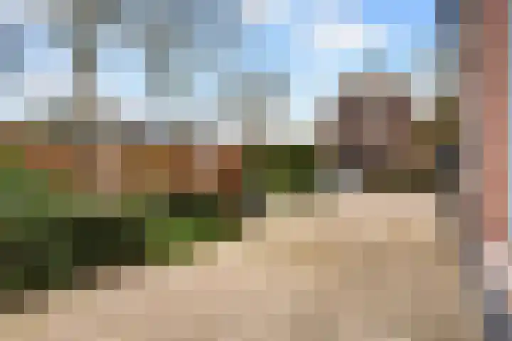 Deventerstraat 75 Vaassen thumbnail 42