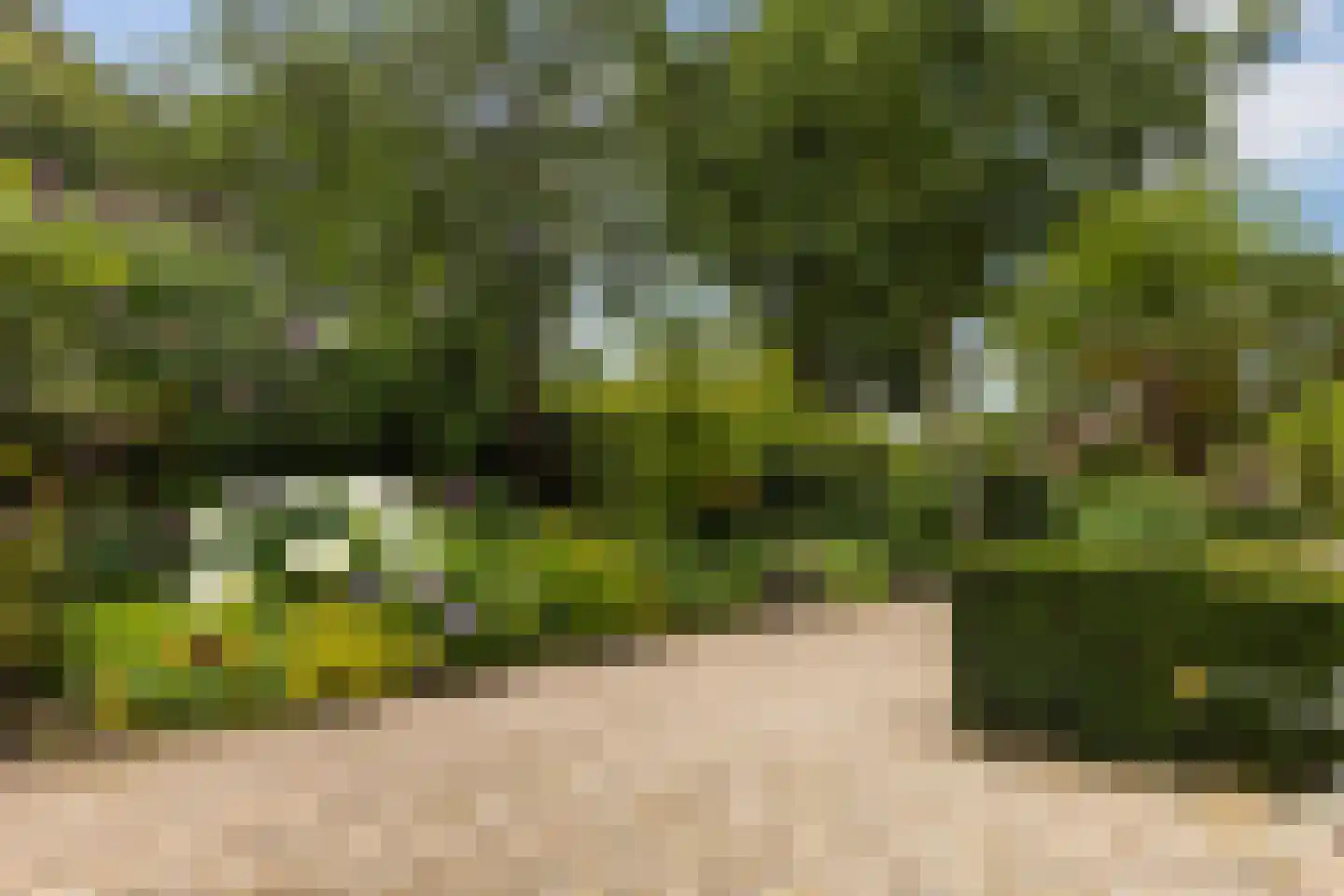 Deventerstraat 75 Vaassen thumbnail 44