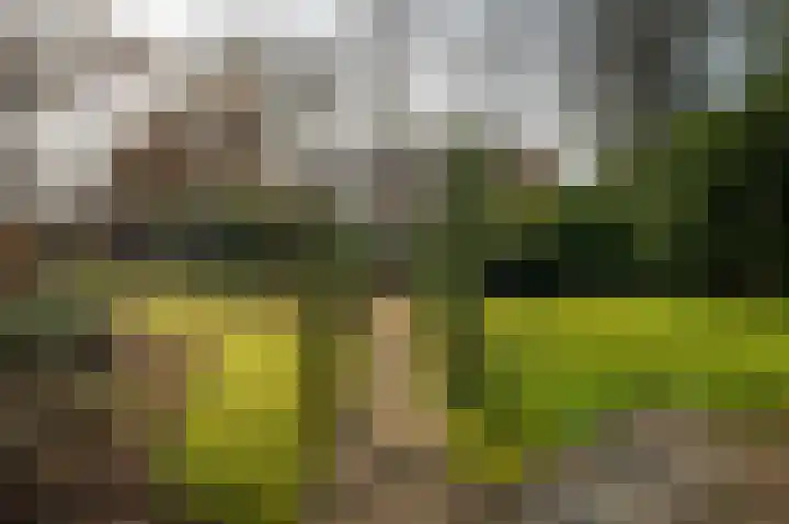 Deventerstraat 92 Vaassen thumbnail 37