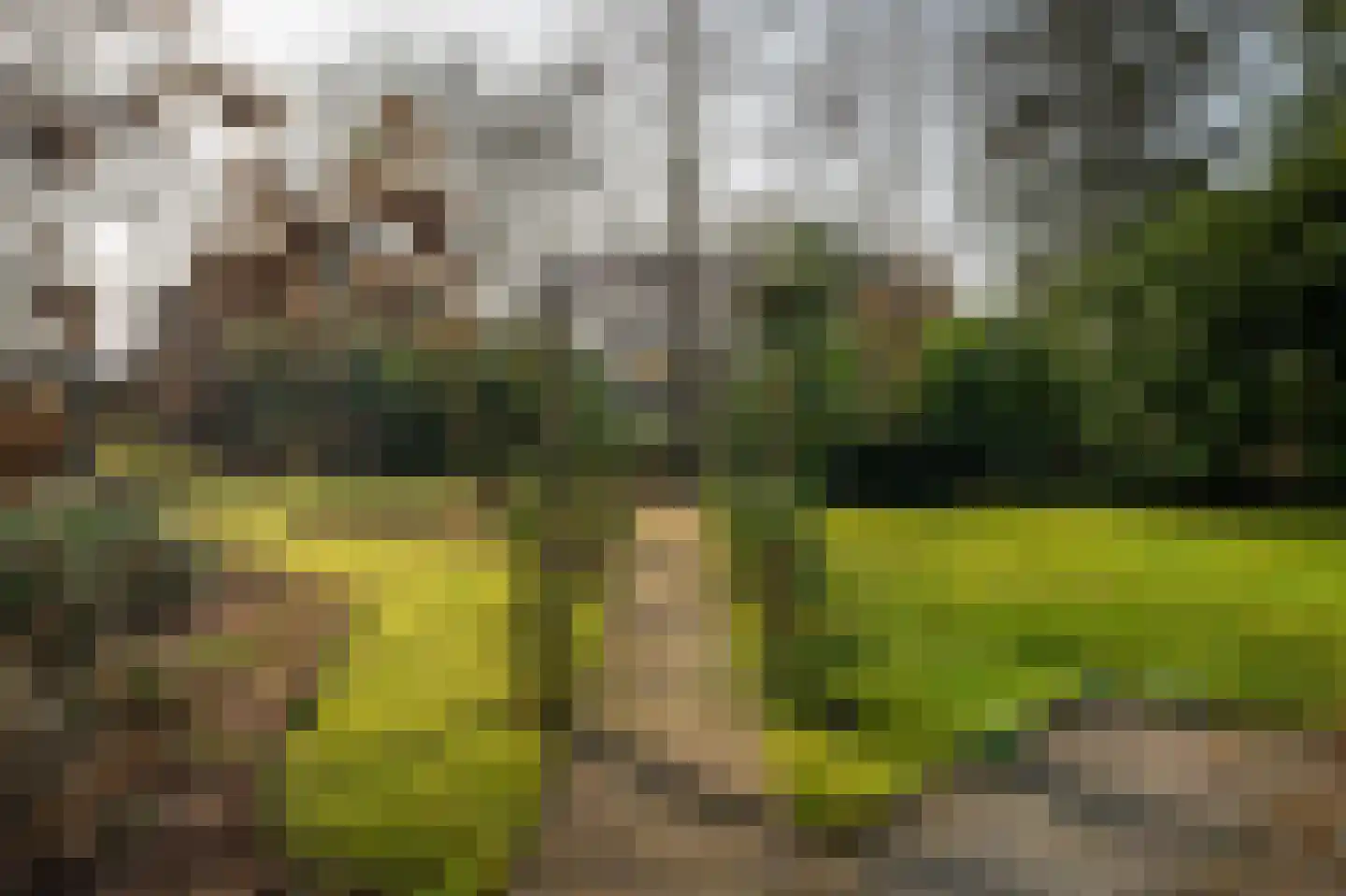 Deventerstraat 92 Vaassen thumbnail 37