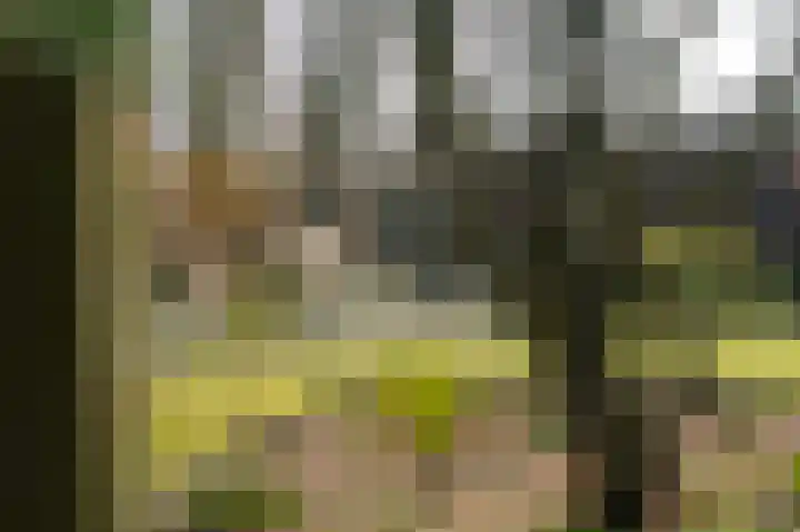 Deventerstraat 92 Vaassen thumbnail 38
