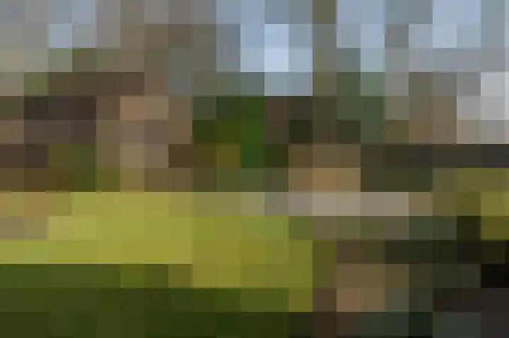 Deventerstraat 92 Vaassen thumbnail 39