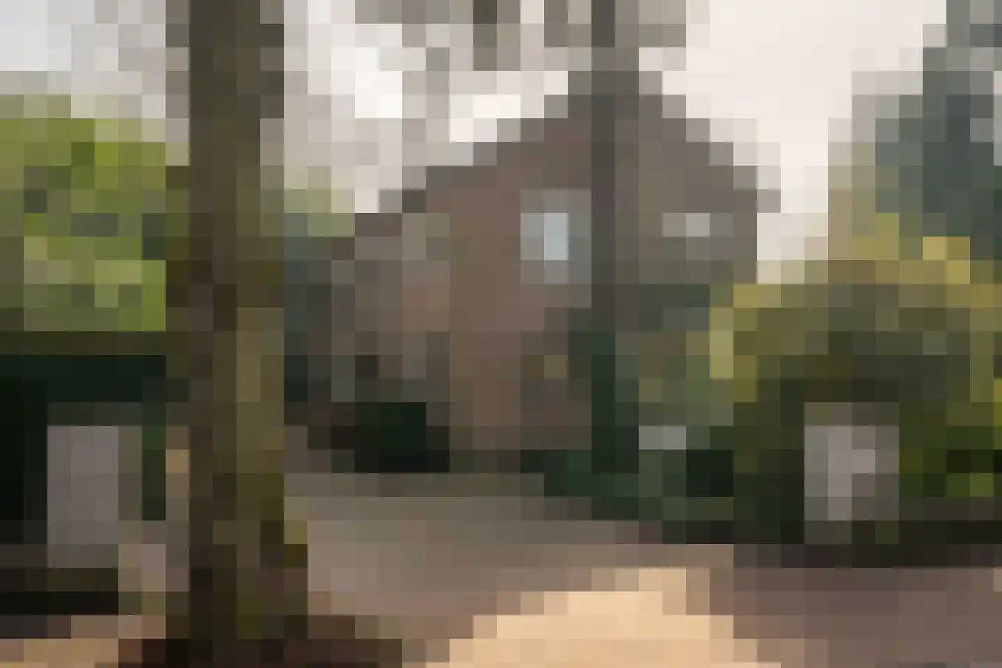 Deventerstraat 92 Vaassen thumbnail 4